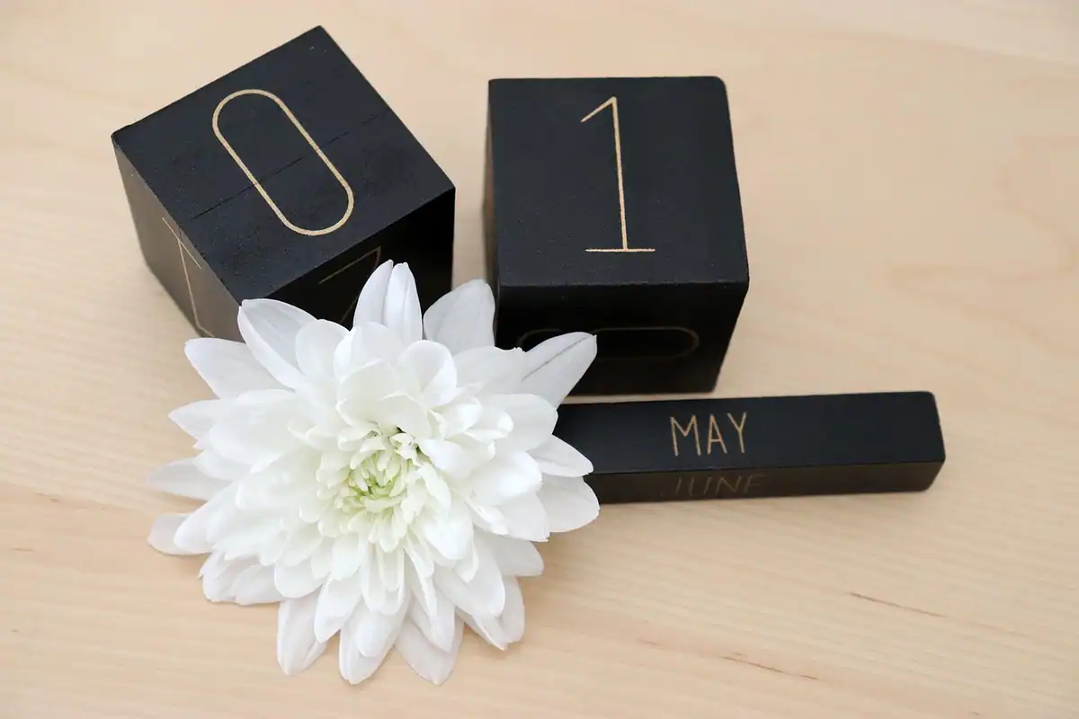 Flori albe de primăvară lângă un calendar cu data de 1 Mai, zi liberă legală